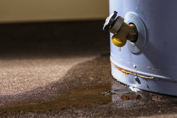 Best Water damage restoration near me  in El Dorado Hills, CA
