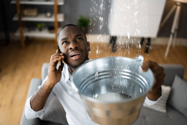 Best Flood restoration services  in El Dorado Hills, CA