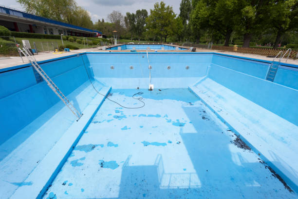 Best Mold removal after water damage  in El Dorado Hills, CA