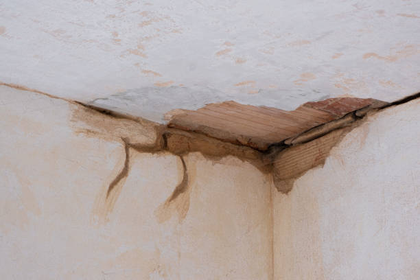 Best Flood damage cleanup  in El Dorado Hills, CA