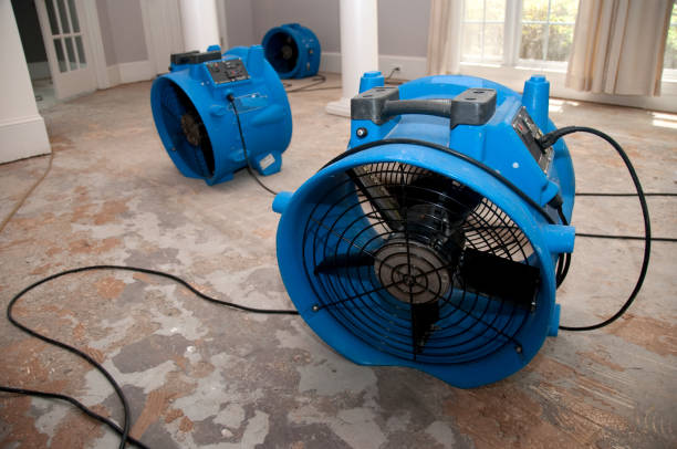 Best 24-hour water damage restoration  in El Dorado Hills, CA