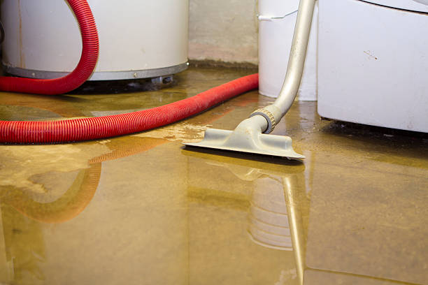 Trusted El Dorado Hills, CA Water damage restoration Experts