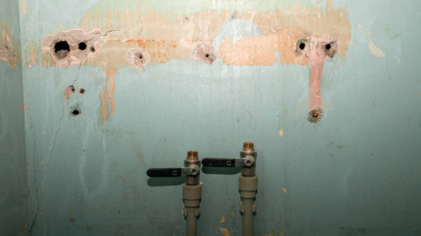 Reliable El Dorado Hills, CA Water damage restoration Solutions